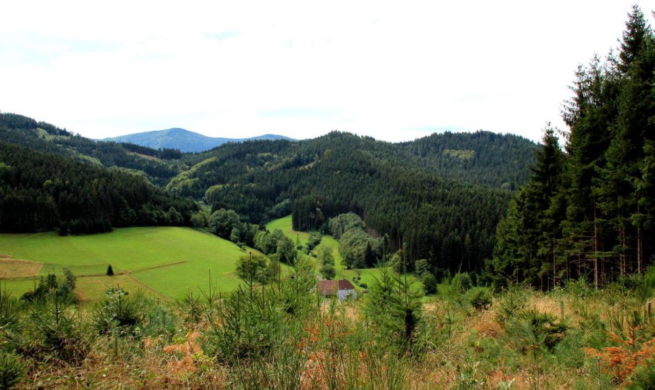Gemuetliches Haus Im Herzen Des Schwarzwaldes Fuer Bis Zu 9 Personen เอลซาค ภายนอก รูปภาพ