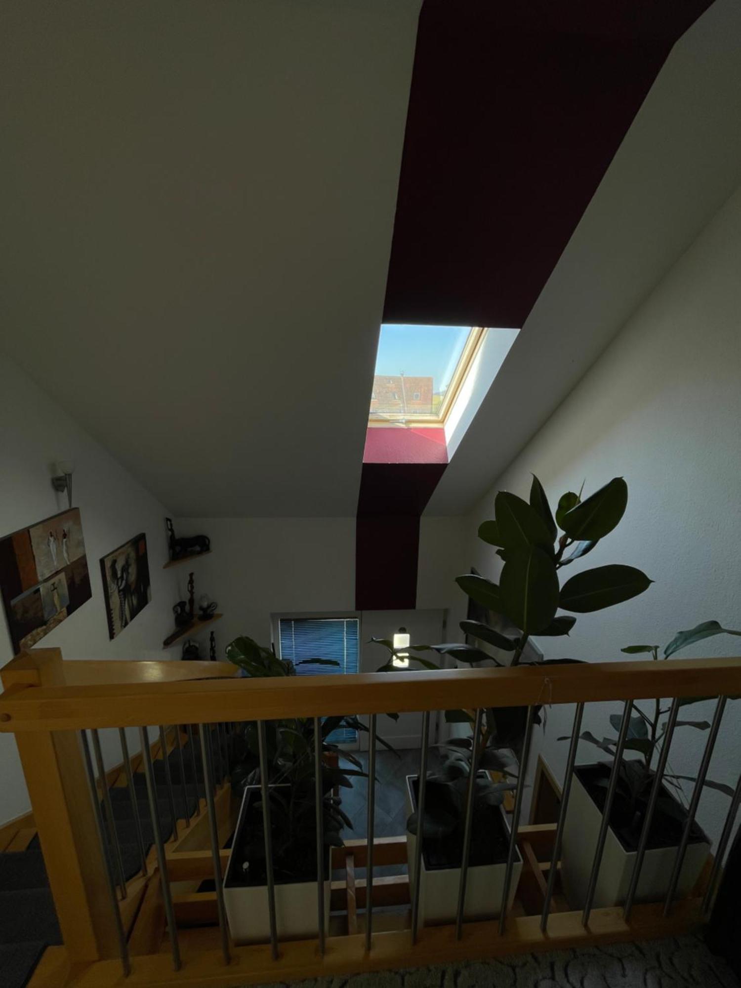 Gemuetliches Haus Im Herzen Des Schwarzwaldes Fuer Bis Zu 9 Personen เอลซาค ภายนอก รูปภาพ